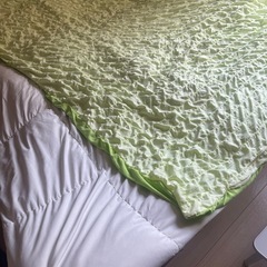 (新品)布団カバー 緑150x200の画像