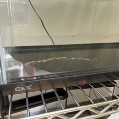 【決まりました】水槽の画像