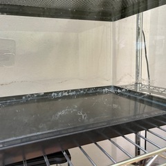 【決まりました】水槽の画像
