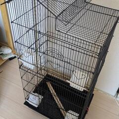さらに値下げ‼️  大きい鳥かごの画像