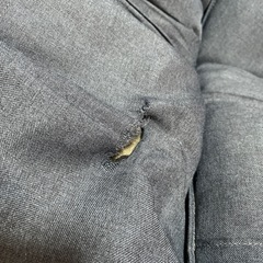 値下げ　ふたつセット　座椅子の画像