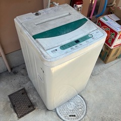 洗濯機譲りますの画像
