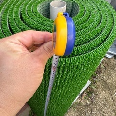 人工芝の画像
