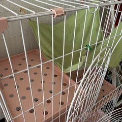 【3/26〜3/28お引き取り希望】猫用ペットゲージの画像