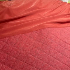 【受け渡し決定済】無印良品　ビーズソファ　体にフィットするソファの画像