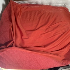 【受け渡し決定済】無印良品　ビーズソファ　体にフィットするソファの画像