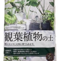 【無料】観葉植物の土　約10L