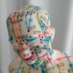 人体. 足ツボ模型　鍼灸　指圧　経穴　経絡 整体 学習　マッサージ 中国製の画像