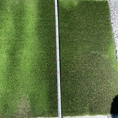 人工芝　リアリーターフ　1m×3.1m  ヨーロピアン40㎜の画像