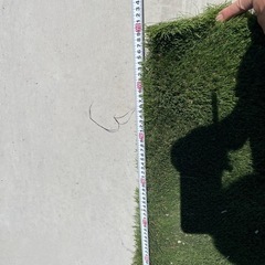 人工芝　リアリーターフ　1m×3.1m  ヨーロピアン40㎜の画像