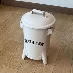 ゴミ箱 ダストボックス 小さいゴミ箱 トラッシュカンSS ティン...