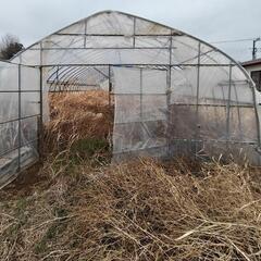 中型ハウスの画像