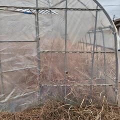 中型ハウスの画像