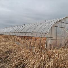 中型ハウスの画像