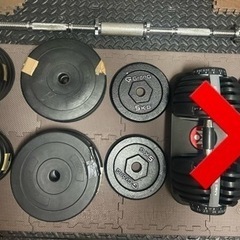 筋トレ　ホームジム　一式　フルセット　ベンチプレス　ダンベル　インクラインベンチ　懸垂バー　ジョイントマットの画像