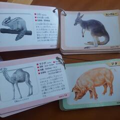 中古　知育の画像
