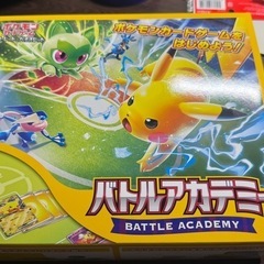 ポケモンカードゲーム
