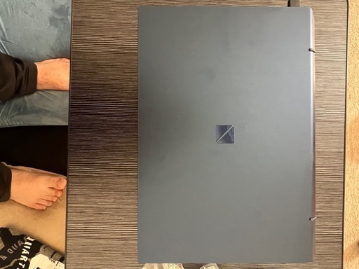 NEC LAVIE Direct N15（インテルArc 搭載モデル）15.6インチ