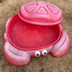 『決まりました！』カニさん　砂場の画像