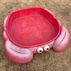 『決まりました！』カニさん　砂場の画像