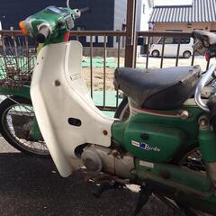 SUZUKI　Buddyの画像
