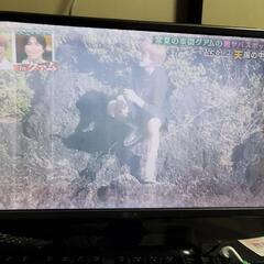 テレビ