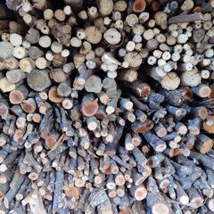 薪（ほぼ梅の枝）の画像