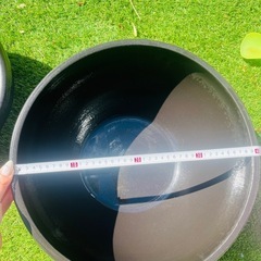 メダカ　睡蓮鉢　２つ　単品可の画像