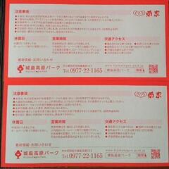 城島無料券２枚の画像