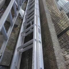 長谷川2連梯子の画像