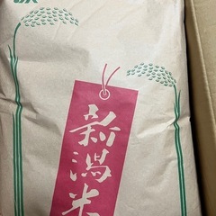 お米 残り2体