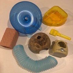 ハムスターお迎え6点セットB