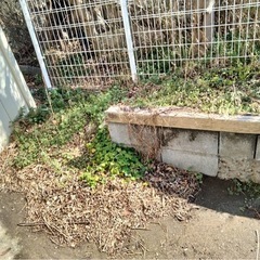 除草と砂撤去の画像