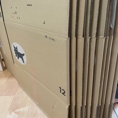 ダンボール 140 120サイズの画像