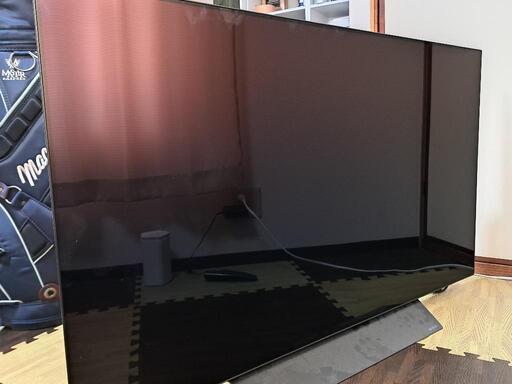 有機ELテレビ(OLED55B8PJA) 55型 2019年製 ジャンク