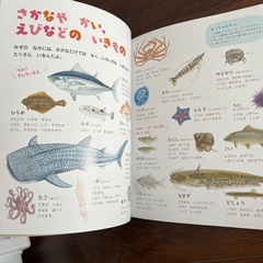 美品です　４歳のえほん百科 講談社 絵本 幼児 の画像