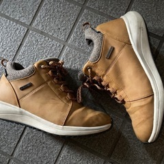 レディース24サイズの画像