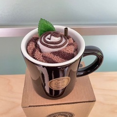 カフェマグ　マイクロファイバータオルセット