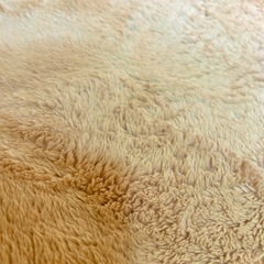 薄いブラウン ラグ 85×170の画像