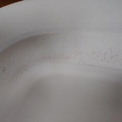 折り畳み　ソフトバス　ペットの画像