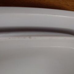 折り畳み　ソフトバス　ペットの画像