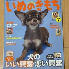 美品★0円ワンちゃん本と雑誌いぬのきもちの画像