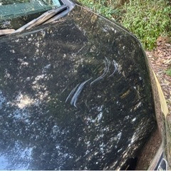 早期取引２万円引き❗️車検付きステップワゴンの画像