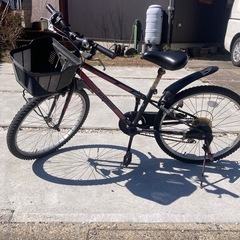 24インチ　自転車
