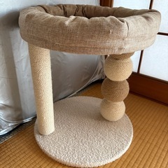 猫 爪とぎ