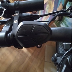 電動アシスト自転車    
１７万の画像