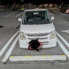 車検たっぷり！只今商談中の画像