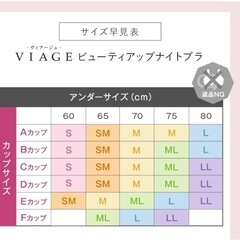ヴィアージュ　VIAGE  ナイトブラ
の画像