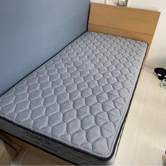 ベット　無料で譲ります　