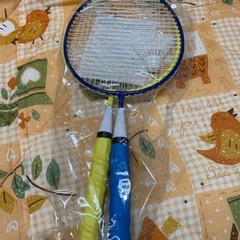 ミニバドミントン
